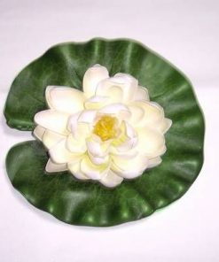 Lotus alb/crem