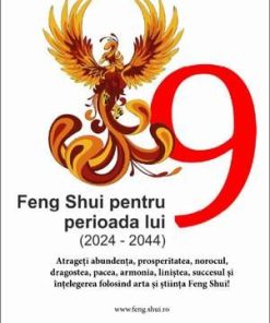 Feng Shui pentru perioada lui 9 (2024-2044)